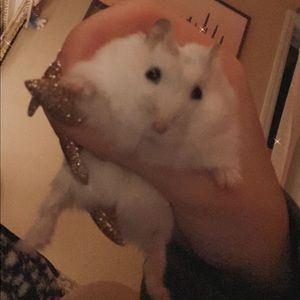 Meet your Posher, Raquel